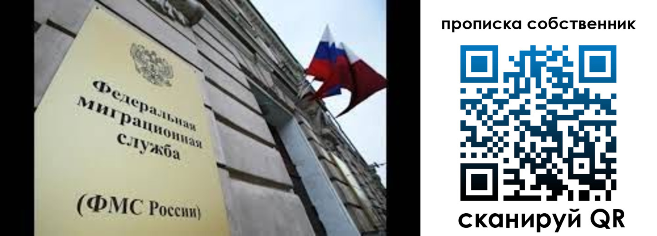прописка гарантия в Волоколамске